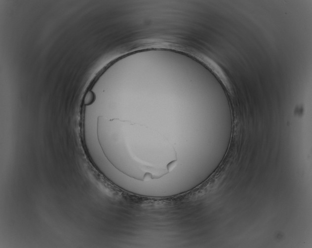 X0000090971051200708241311