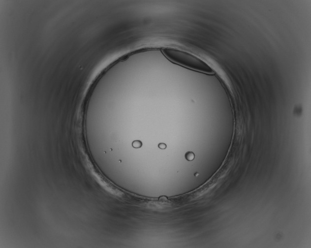 X0000090971053200708241311