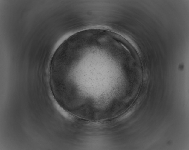 X0000090971054200708241311