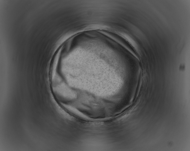 X0000090971055200708241311