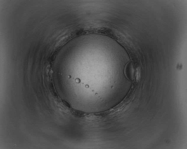 X0000090971059200708241310