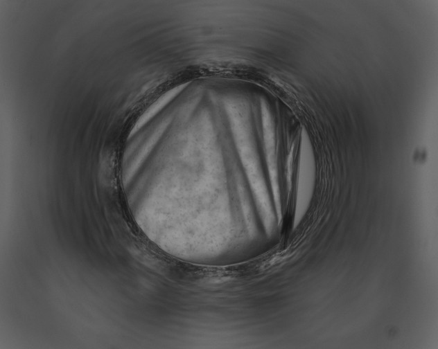 X0000090971060200708241310