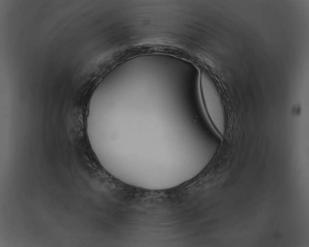 X0000090971062200708241310