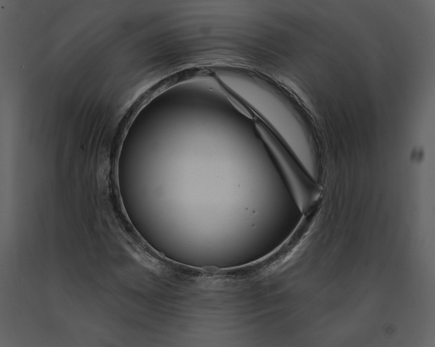 X0000090971065200708241310