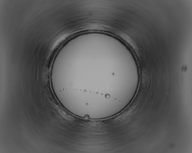 X0000090971067200708241310