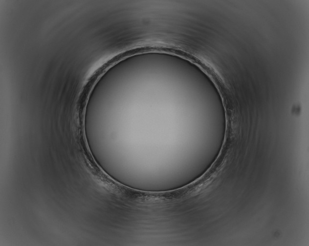 X0000090971070200708241310