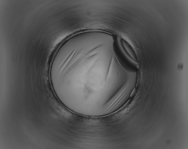 X0000090971071200708241310