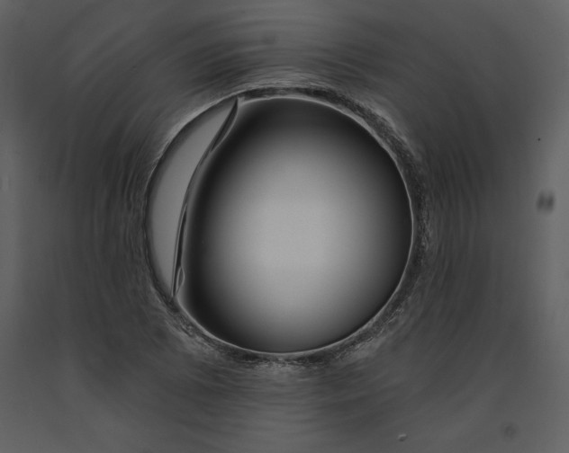 X0000090971073200708241310