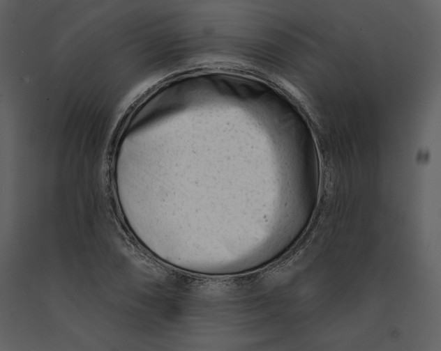 X0000090971074200708241310