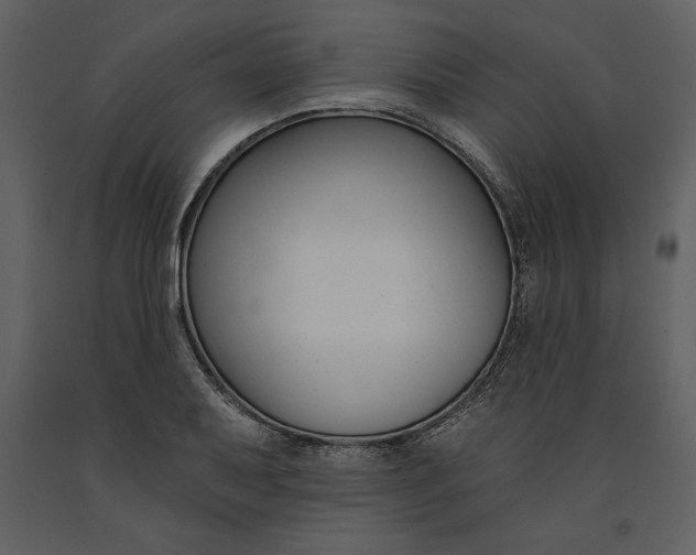 X0000090971079200708241310