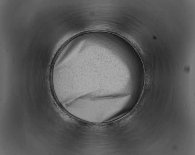 X0000090971086200708241310