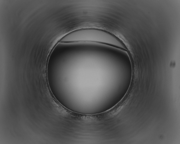 X0000090971089200708241310