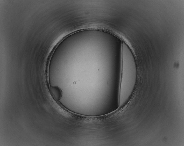 X0000090971091200708241310