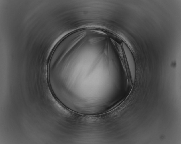 X0000090971092200708241310