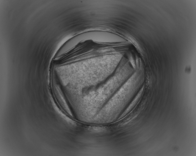 X0000090971095200708241310