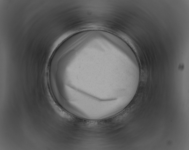 X0000090971098200708241310