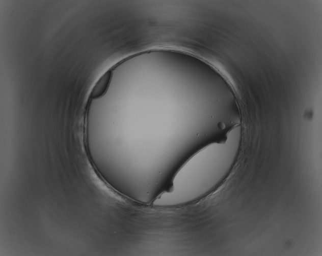 X0000090971100200708241310