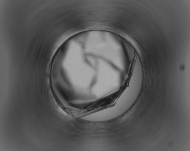 X0000090971102200708241310