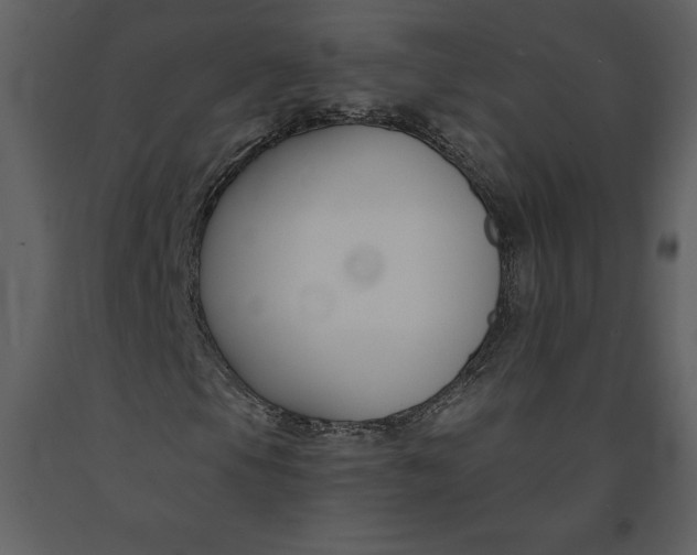 X0000090971105200708241309