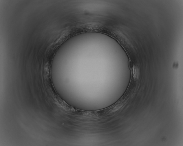 X0000090971107200708241309