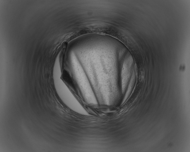 X0000090971108200708241309