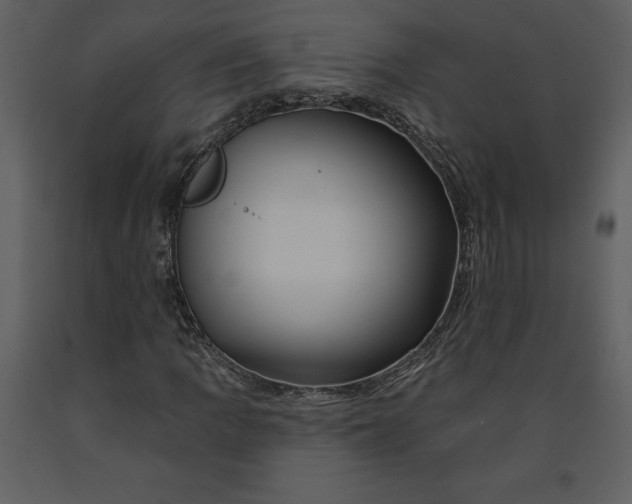 X0000090971109200708241309