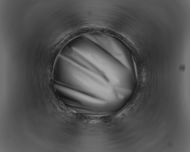 X0000090971110200708241309