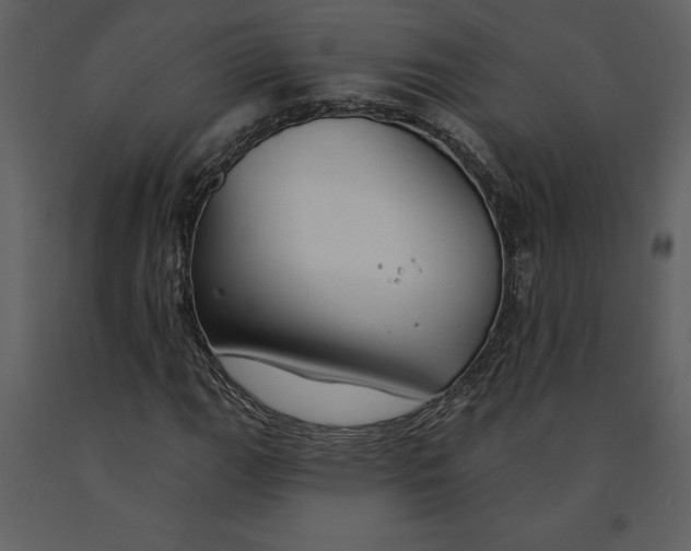 X0000090971111200708241309