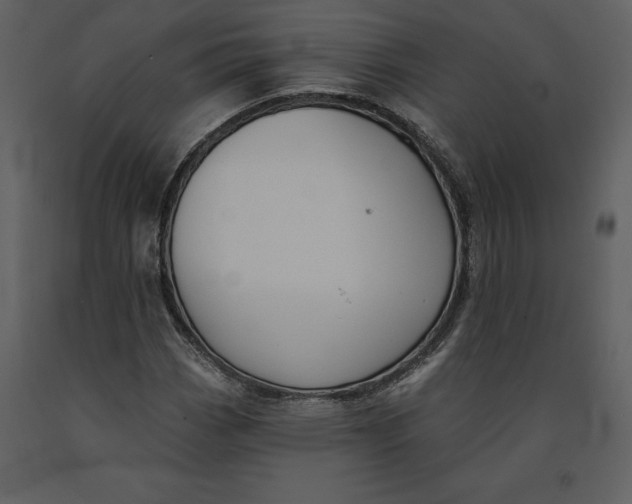 X0000090971113200708241309