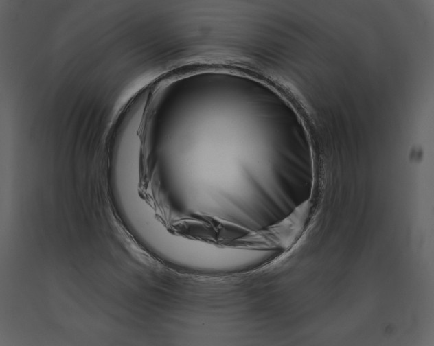 X0000090971114200708241309