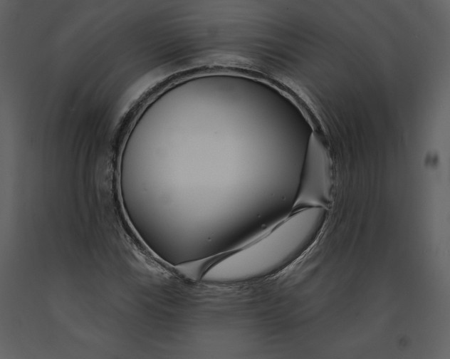 X0000090971115200708241309