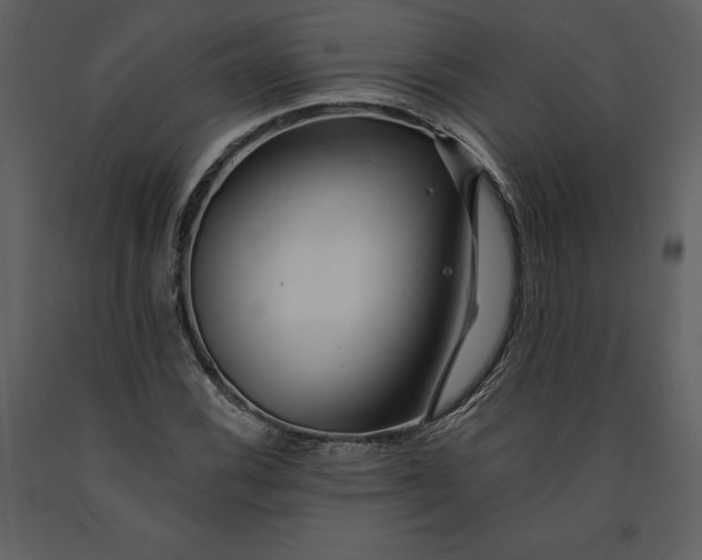 X0000090971116200708241309