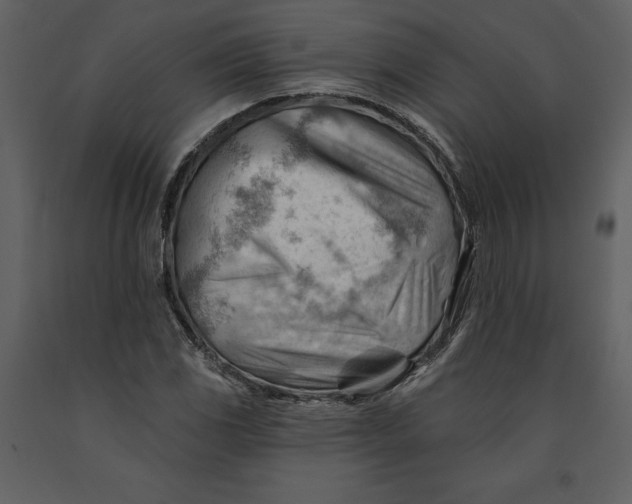 X0000090971117200708241309