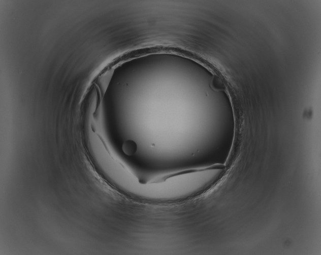 X0000090971118200708241309