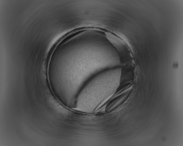 X0000090971120200708241309