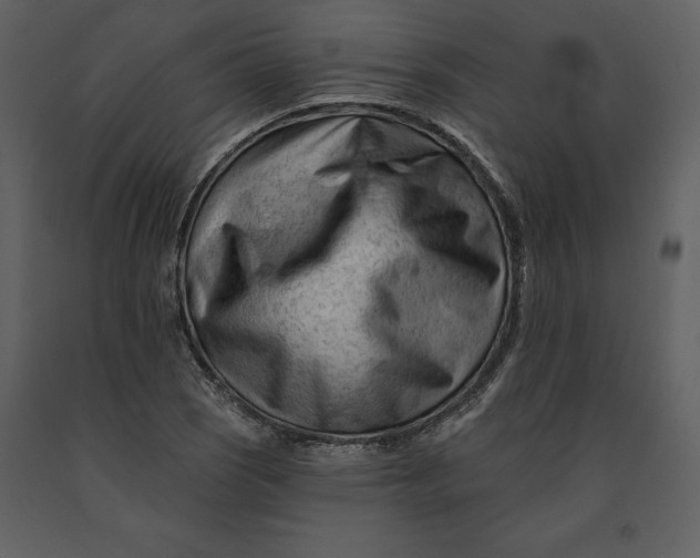 X0000090971121200708241309