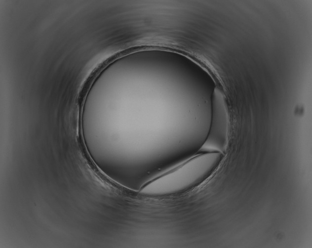 X0000090971123200708241309