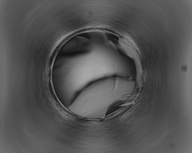 X0000090971124200708241309