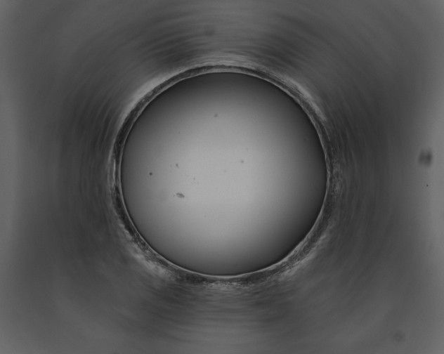 X0000090971125200708241309