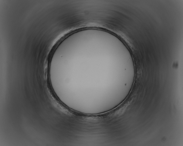 X0000090971126200708241309