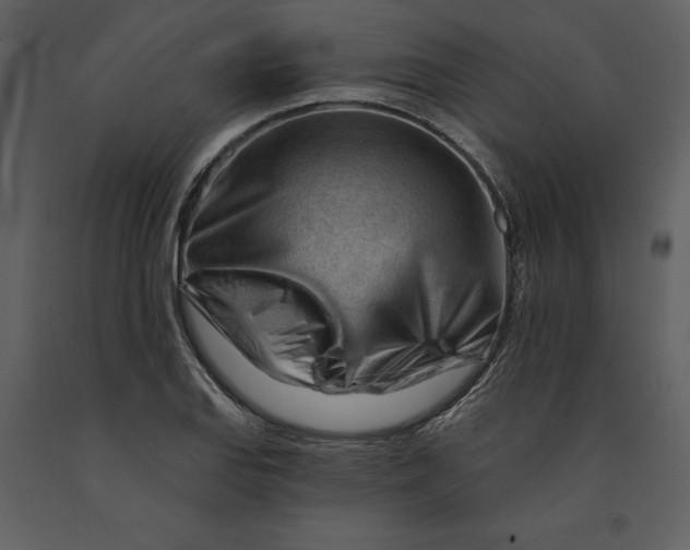 X0000090971127200708241309