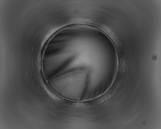 X0000090971128200708241309