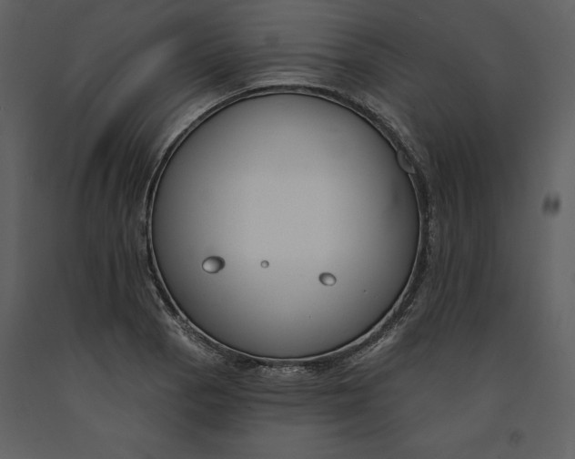 X0000090971129200708241309