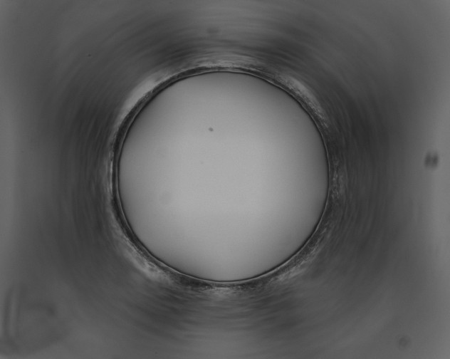 X0000090971130200708241309