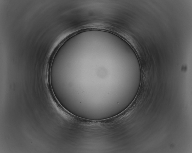 X0000090971131200708241309