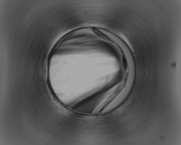 X0000090971132200708241309