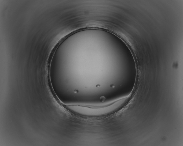 X0000090971133200708241309