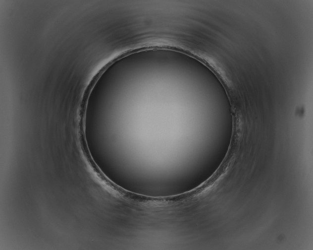 X0000090971134200708241309