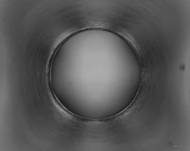 X0000090971135200708241309