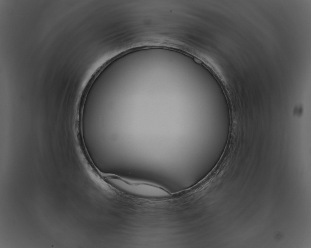 X0000090971136200708241309